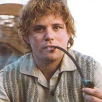 Sanwis Gamgee