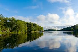 Lakeside View